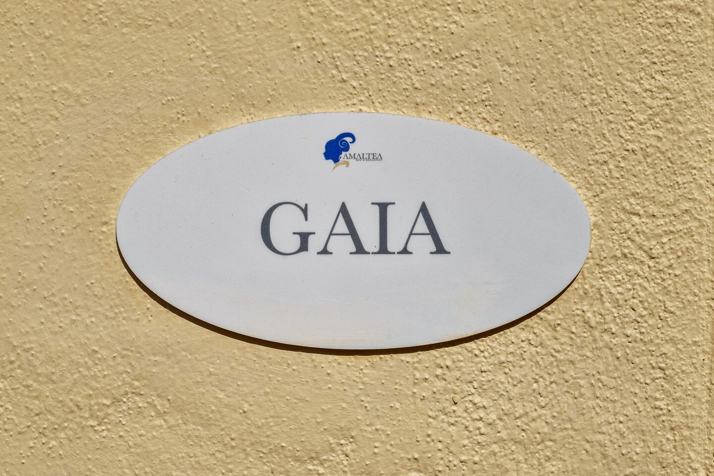 camera gaia